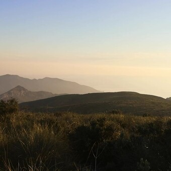 Ra&uacute;l L&oacute;pez