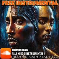 ALL I NEED ►[2024 Free BEAT + DL / Use by CC]◄ ♫ E#min 95 BPM ♫ by TremoxBeatz