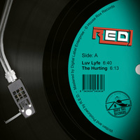 HRR134 - R.E.D. - The Hurting (Original Mix) by House Rox Records