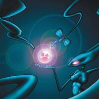 Private Joker - Stammschwung Ost Revival Mix by DaJokeThing