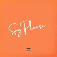 Midtempo DSM Mix 133 |Say please, please... by LIBō
