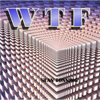 WTF by Sean Tonning