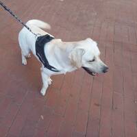 podcast 14 live by LE MATOU