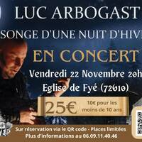 ITW - Luc Arbogast -Concert à Fyé. by Frequence Sillé