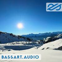 basscast 2602 by bassart