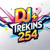 Dj Trekins 254