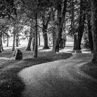 copernicus - highway to house - episode 114 by copernicus