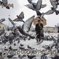 Pigeons over Instanbul by frenq