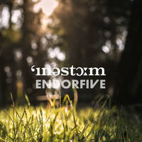 innerstorm - endorfine 5 by innerstorm