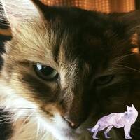 Die Roboter [To Go Crazy Mix] / ft.Kraftwork &amp; Lee Marrow by DJ Deepmaster