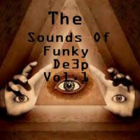 The Sounds Of Funky De3p Vol.1 by Funky De3p