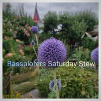 Bassplorers Saturday Stew by Saetchmo