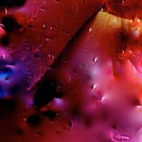 Feel The Love by Aunt B