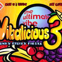 Hypo &amp; Astrix - Live PA @ Vibalicious 3 by Rob Tygett / Crash Override / STL Rave Archive