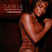 Tamia - Stranger In My House T. Tommy Private Mix by T. Tommy