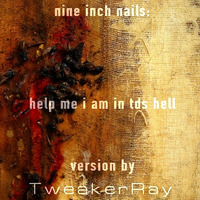 TweakerRay - Help me I am in TDS hell (Coverversion) Original by Nine Inch Nails by TweakerRay