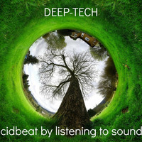 acidbeat @ Deep-tech by listening to sounds 2015 by acidbeat