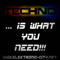 02.06.2013 - Techno Is What You Need  by Elektronic City