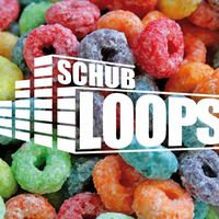 Schub Loops - guts n love by Schub Loops