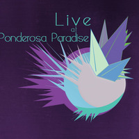 Live @ Ponderosa Paradise Music Festival 2015 by Turtleboy