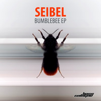 Bumblebee EP (Teaser) - OUT NOW!!! by Seibel