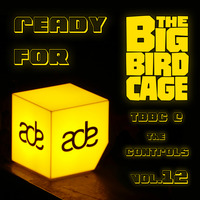 TBBC @ THE CONTROLS - VOL.12 ''ADE 2016 Funky Shizzles'' (The Big Bird Cage In The Mix) by The Big Bird Cage