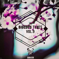 BIGEOUS TUNES VOL.9 - BRUNO KAUFFMANN FEAT MJ WHITE &quot;LETTING GO WITH YOU&quot; (M.WAXX REMIX) by bruno kauffmann