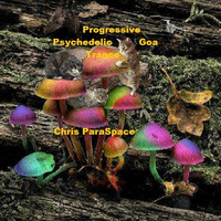 Progressive Psychedelic Goa Trance by Chris ParaSpace