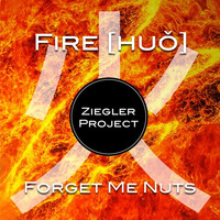 Forget Me Nuts (Original Mix) | PREVIEW CLIP by Ziegler Project