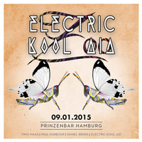 Electric Kool Aid DJ-Set @ Zoo (w.Timo Maas) / Prinzenbar-HH - 2015-01-09 (FREE DOWNLOAD) by Electric Kool Aid