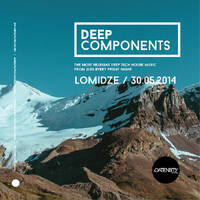 Lomidze - Deep Components 01 (30.05.2014) by Lomidze