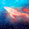 Spaceyfish