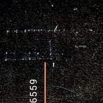 Champion Disk Jocker