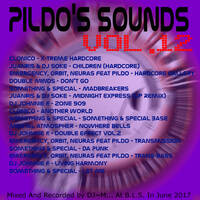 Pildo's Sounds vol.12 by Dj~M...