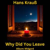 Why Did You Leave by Hans Krauß