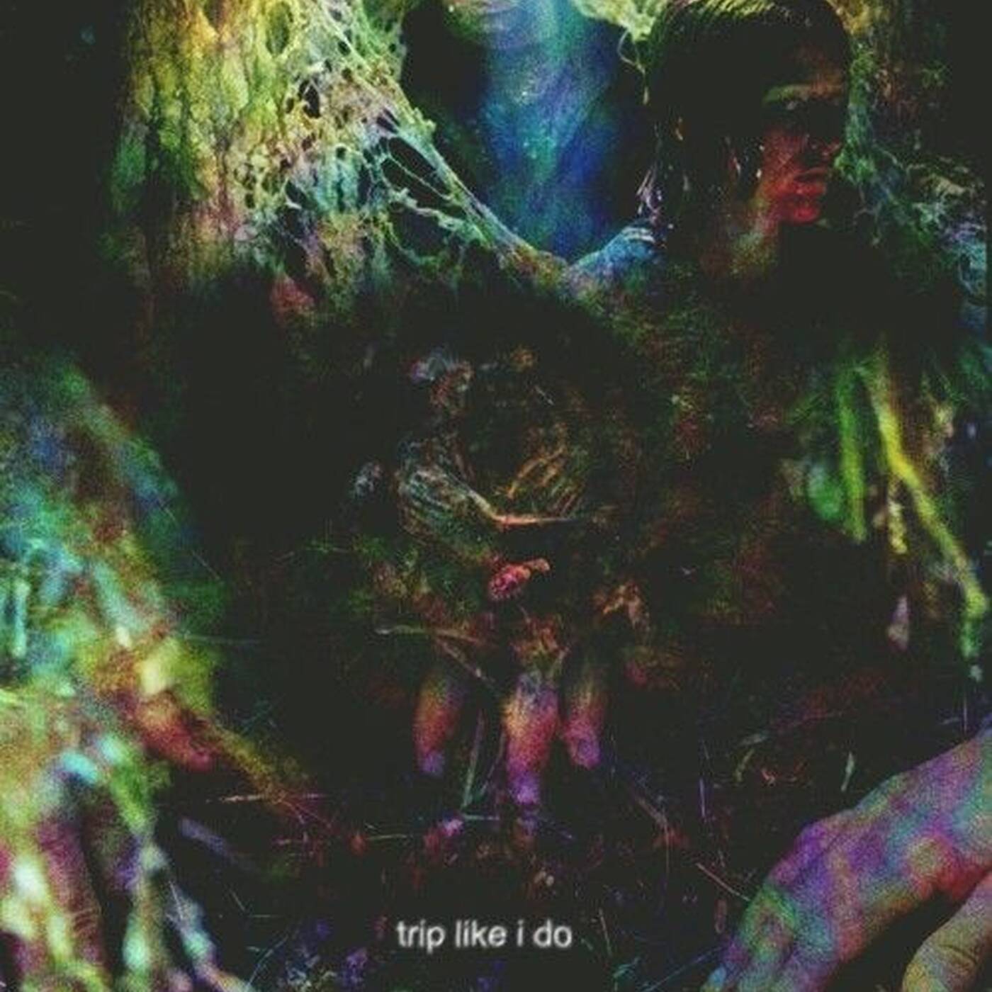 Field Trip episode artwork