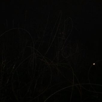 Danny Lo&Atilde;&Yuml;mann