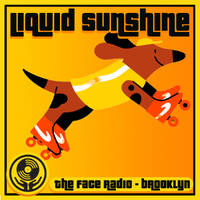 Deelighful Disco House Deelites - Liquid Sunshine @ The Face Radio - Show #232 by Liquid Sunshine