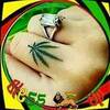Budima Morgan