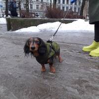 podcast 6 by LE MATOU