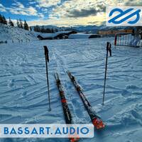 basscast 2502 by bassart