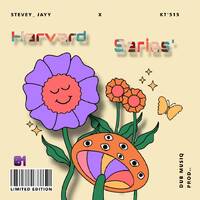 Harvard Series' 01((Selection 01)) by Stevey Jayy