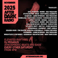 DJ Pegasus - Elevated Rhythms - November 2025 - AfterDarkRadio by DJ PEGASUS