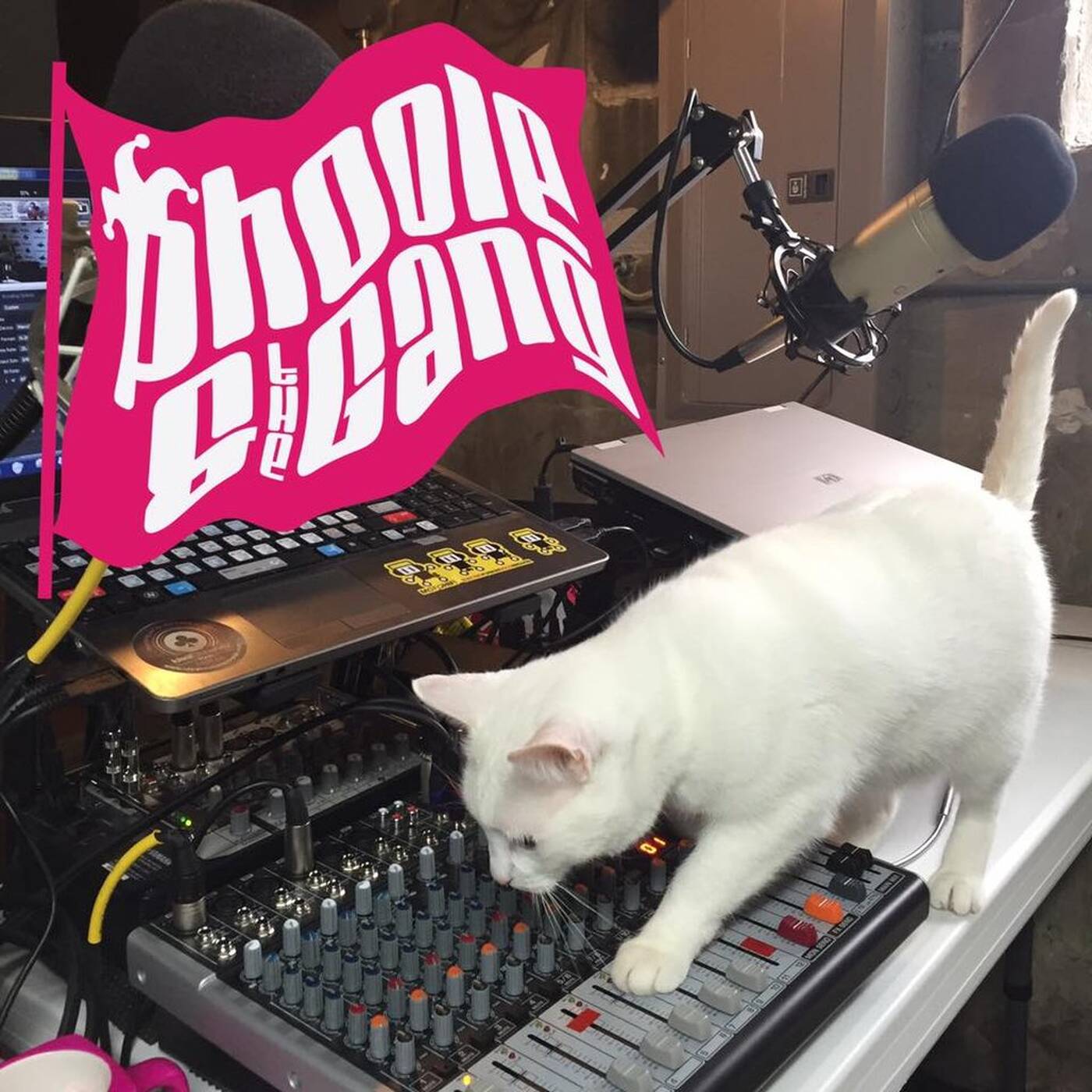 @Phoole and the Gang | Show 138 | Tiny Tiny Sumos | @IdealClubWorld Radio | 11 March 2016 episode artwork