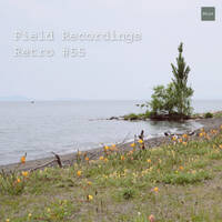 Field Recordings | Retro #55 by PG3A