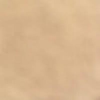 Puleeng S. Modishane