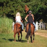 Der Reiter by Hans Krauß