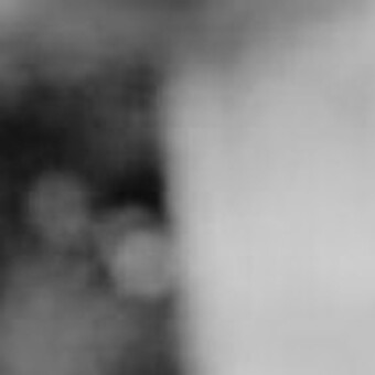 WILLIAM MONSTER 🇦🇴