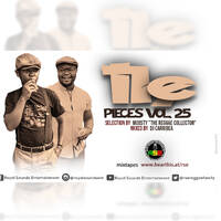 The Pieces Vol 25 _Makofi - Dj Carribean X Reggae Collector by RSE