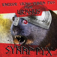 Warrior Viking Guinea Pigs From Uranus by Synaptyx